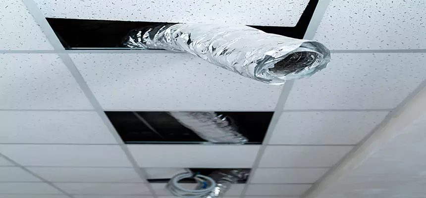 Our Air Duct Pet Hair Removal Services in Arnold, MO