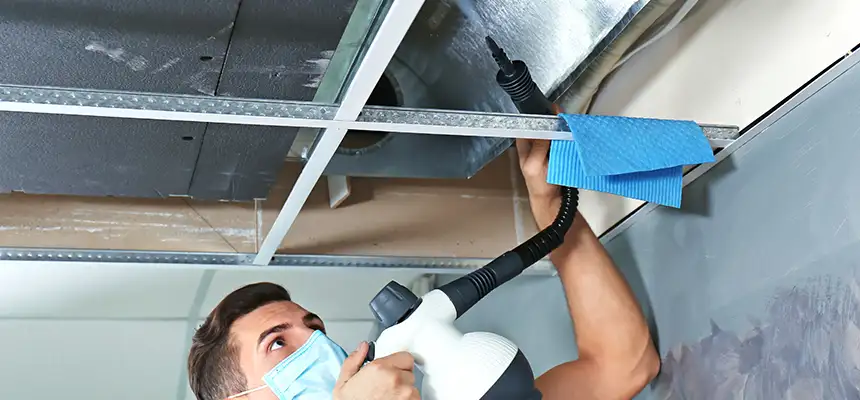 Our Air Duct Rodent Removal Services in Arnold, MO