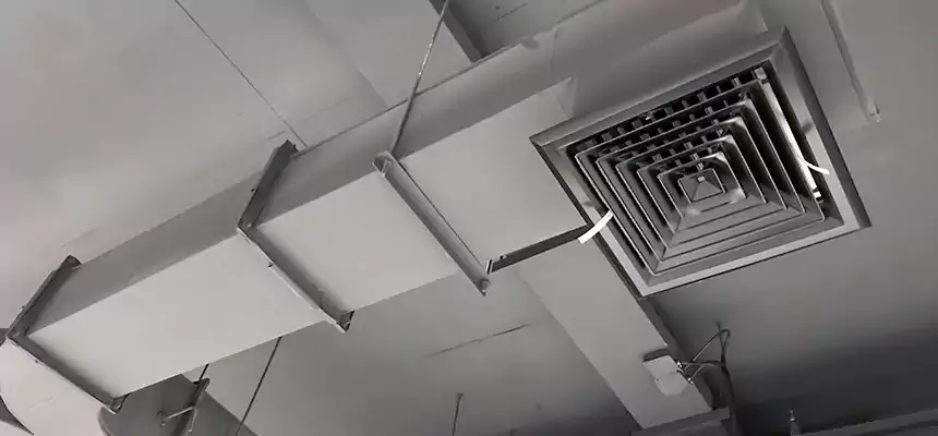 Restorative Allergy Relief Vent Cleaning – Coil, Blower & Housing Detail in Arnold