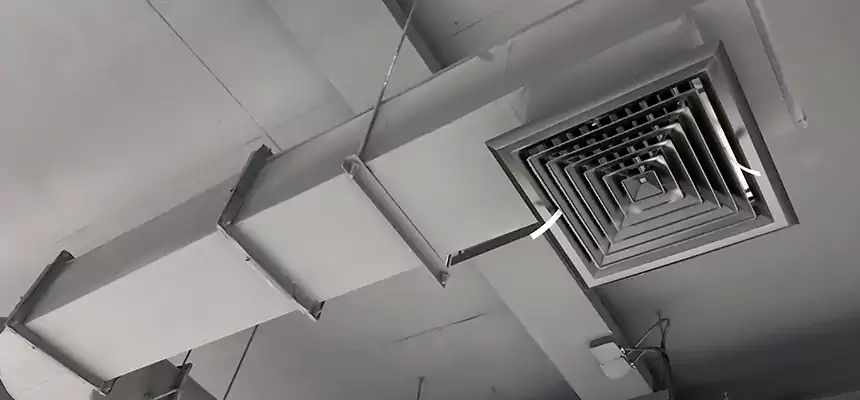 Our Pest Removal From Ducts Services in Arnold, MO