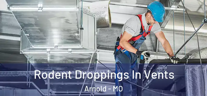  Rodent Droppings In Vents Arnold - MO