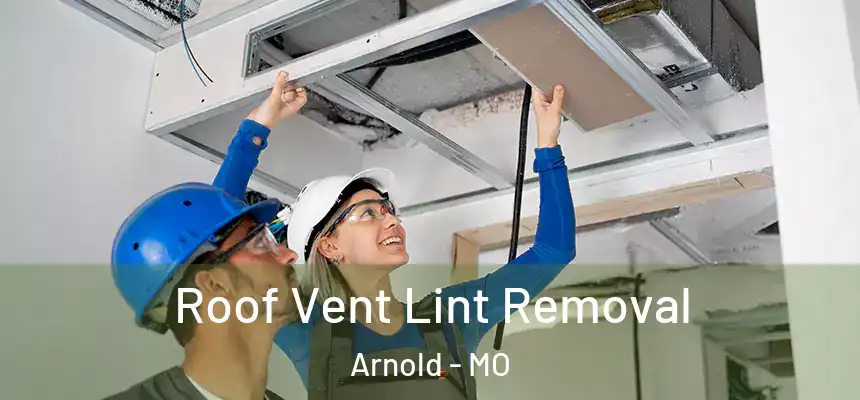  Roof Vent Lint Removal Arnold - MO