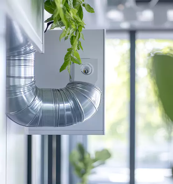 Professional Eco-Safe Dryer Vent Cleaning in Arnold, MO