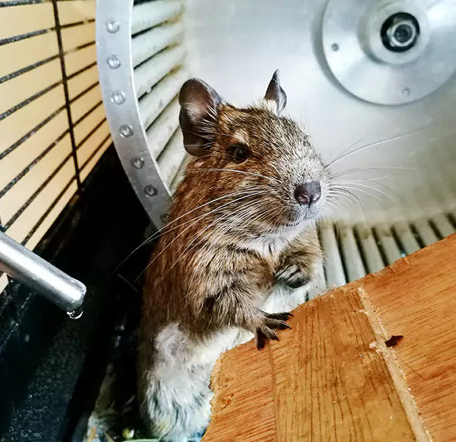 Why Homeowners & Businesses Trust Us Arnold, MO