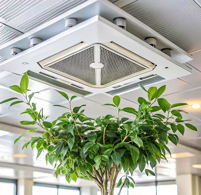 Why Homeowners & Businesses Trust Us in Arnold, MO